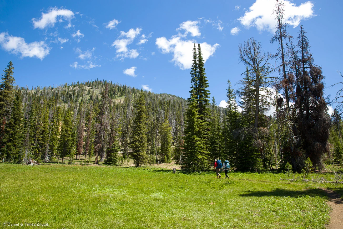 The meadows before Navaho Pass, offering plenty of camp spots for backpackers