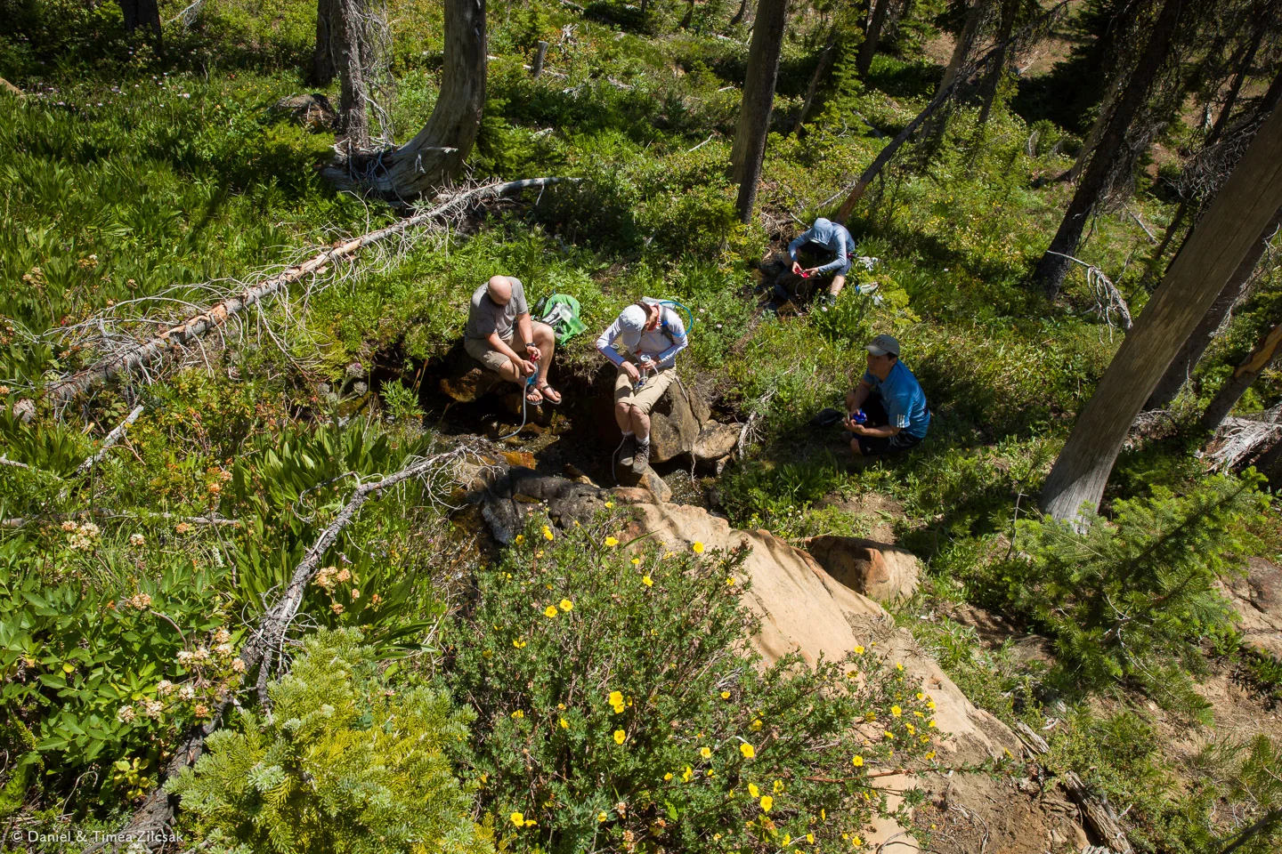Filtering water at the Navaho Pass meadows