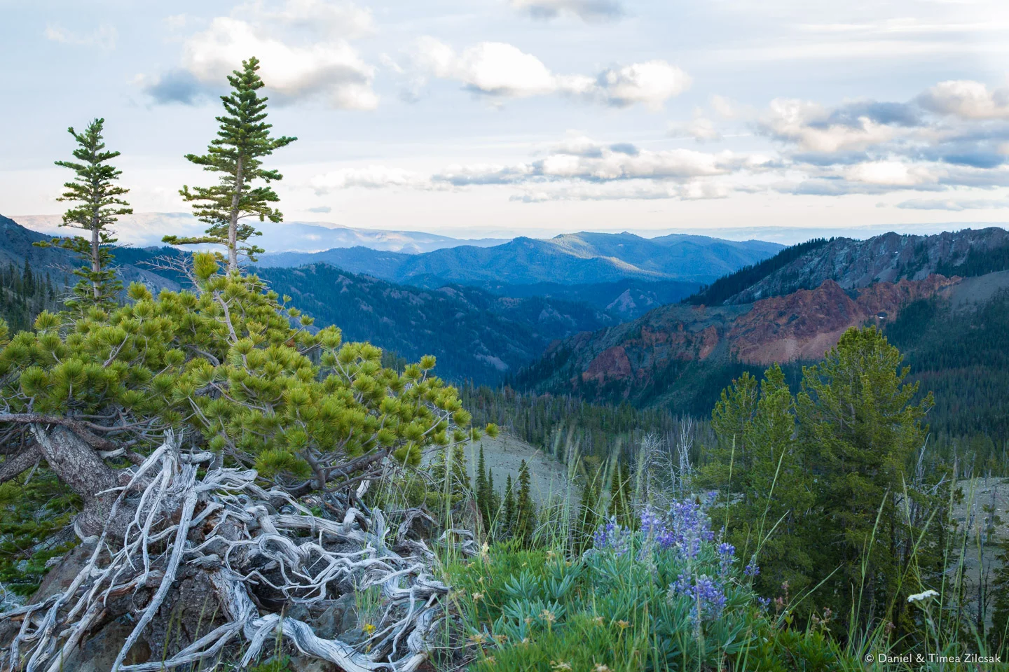 Evening view from Navaho Pass