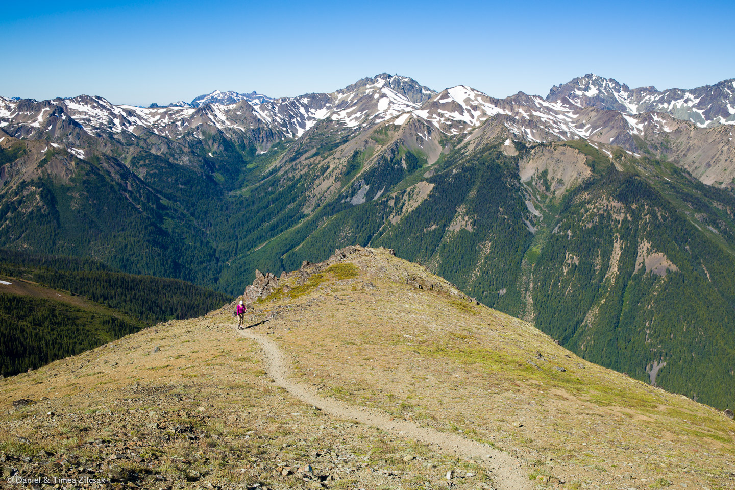 Heather Basin viewed from Buckhorn Mountain Ridge