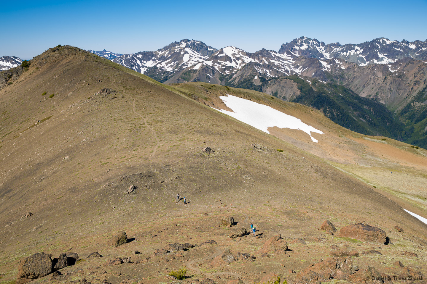 Looking back at the trail from Buckhorn Mountain