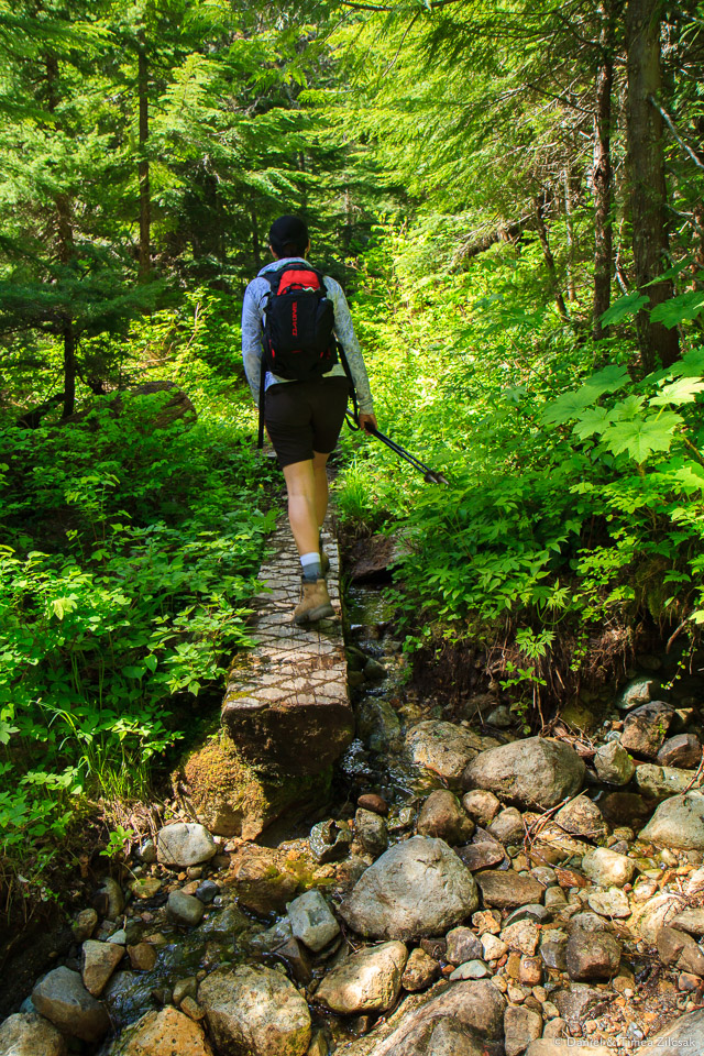 Crossing a small stream