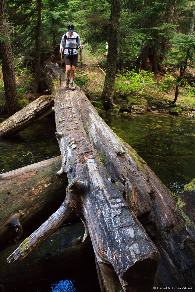 Log bridge across Cold Creek, on the east side of Twin Lakes
