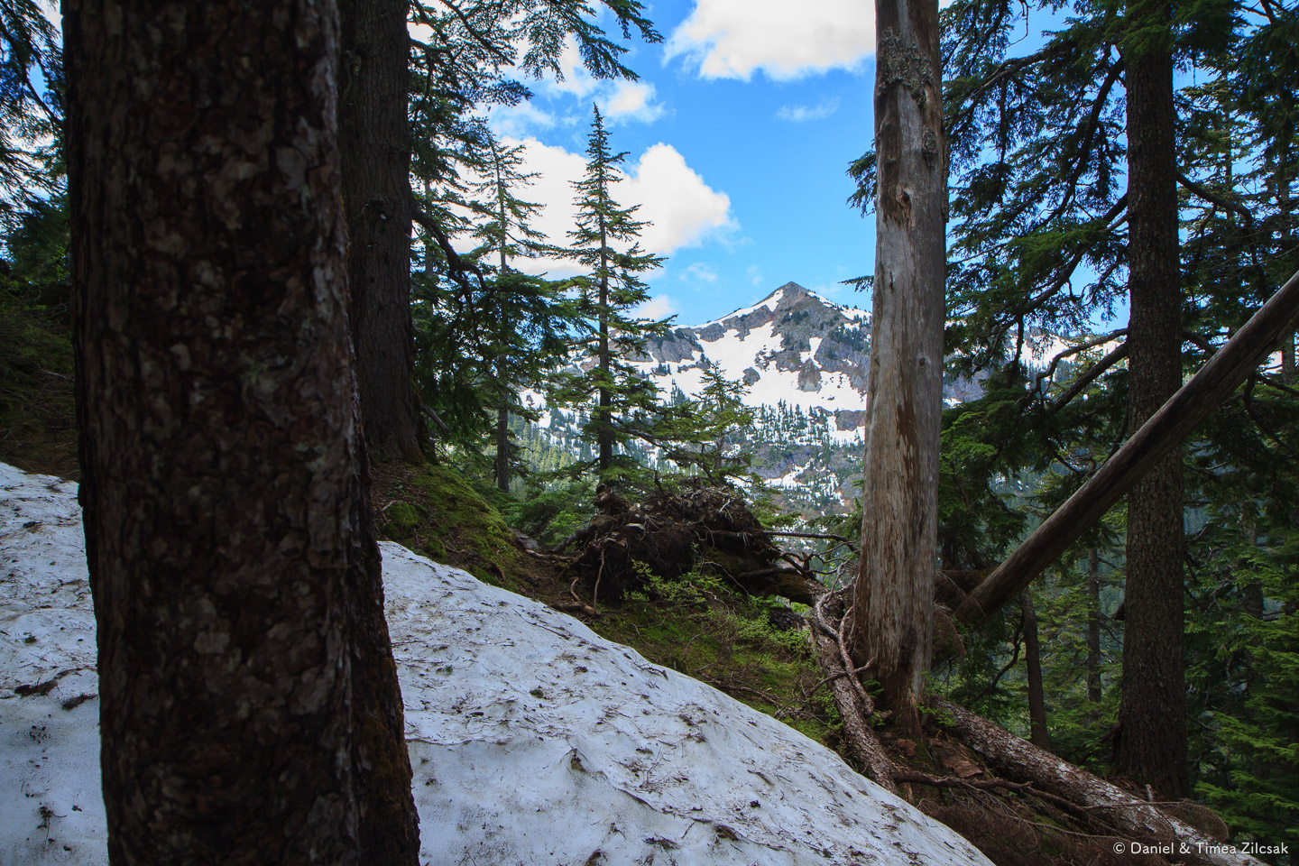 Silver Peak from the upper Cold Creek trail