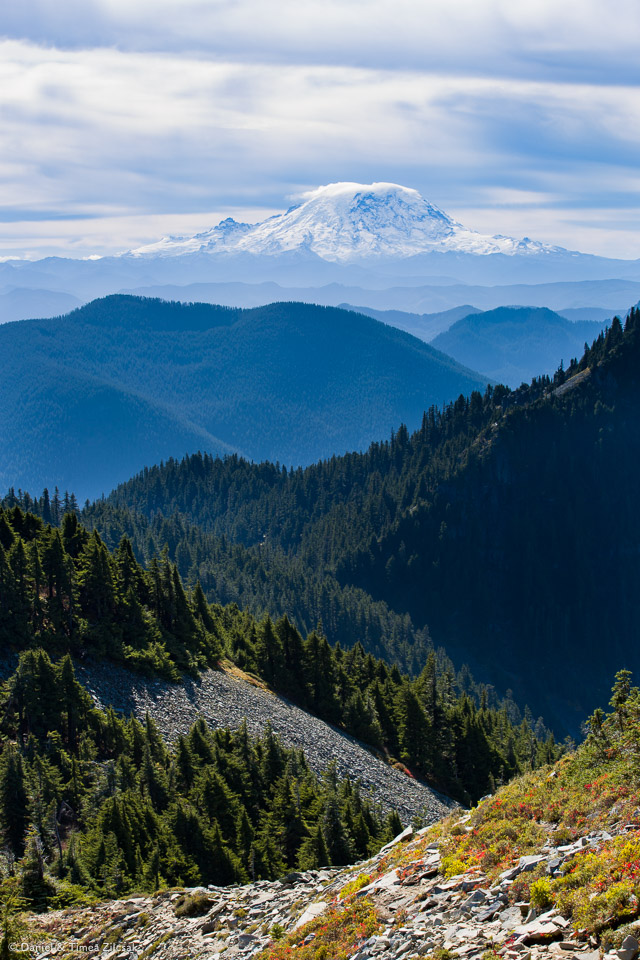 Mount Rainier seen from Silver Peak