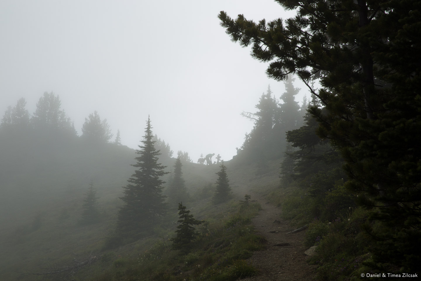 Hikers and their best friend at Marmot Pass enveloped in a dense fog