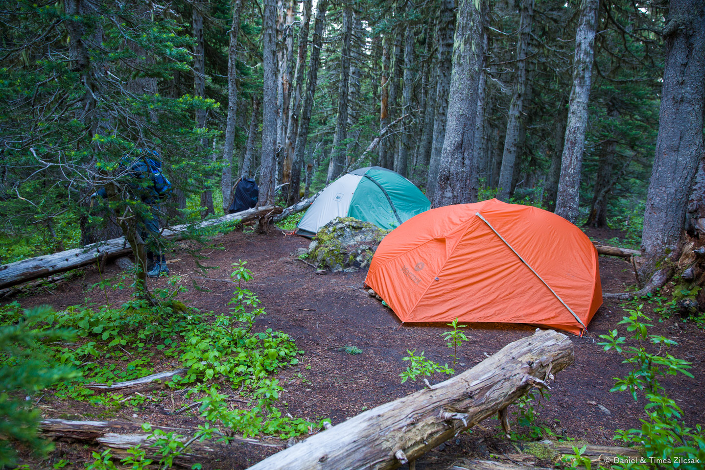 Camp Mystery, Marmot Pass