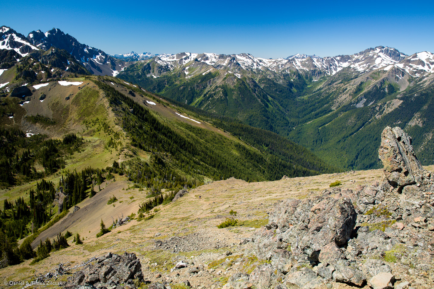Marmot Pass and Heather Valley viewed from Buckhorn Mountain