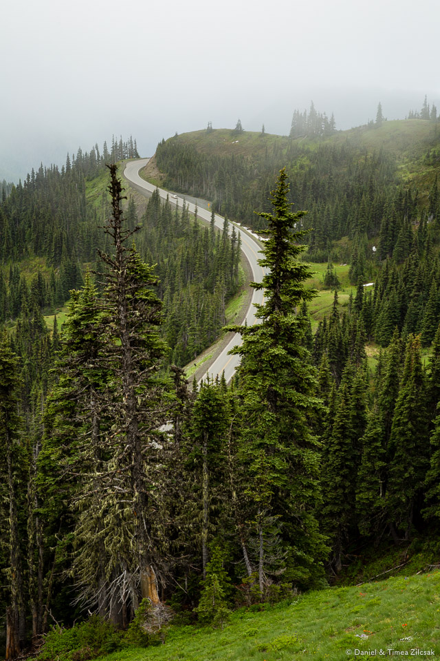 Road to Hurricane Ridge viewed from the trail to Mount Angeles