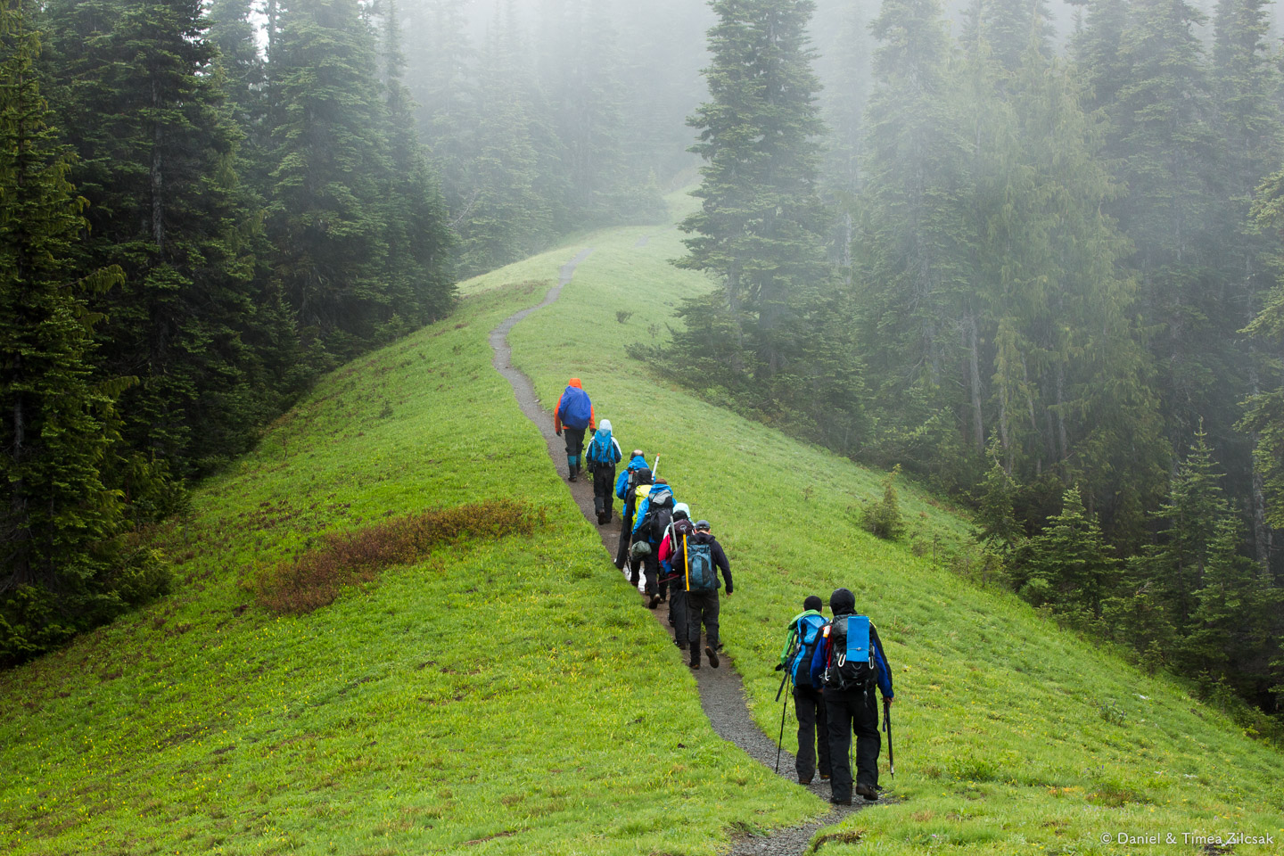 Our large group hiking back to Hurricane Ridge, after a successful Mount Angeles Summit