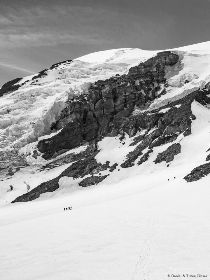 Pack of climbers on the Muir Snowfield below Nisqually Glacier, approx. 9600 ft high