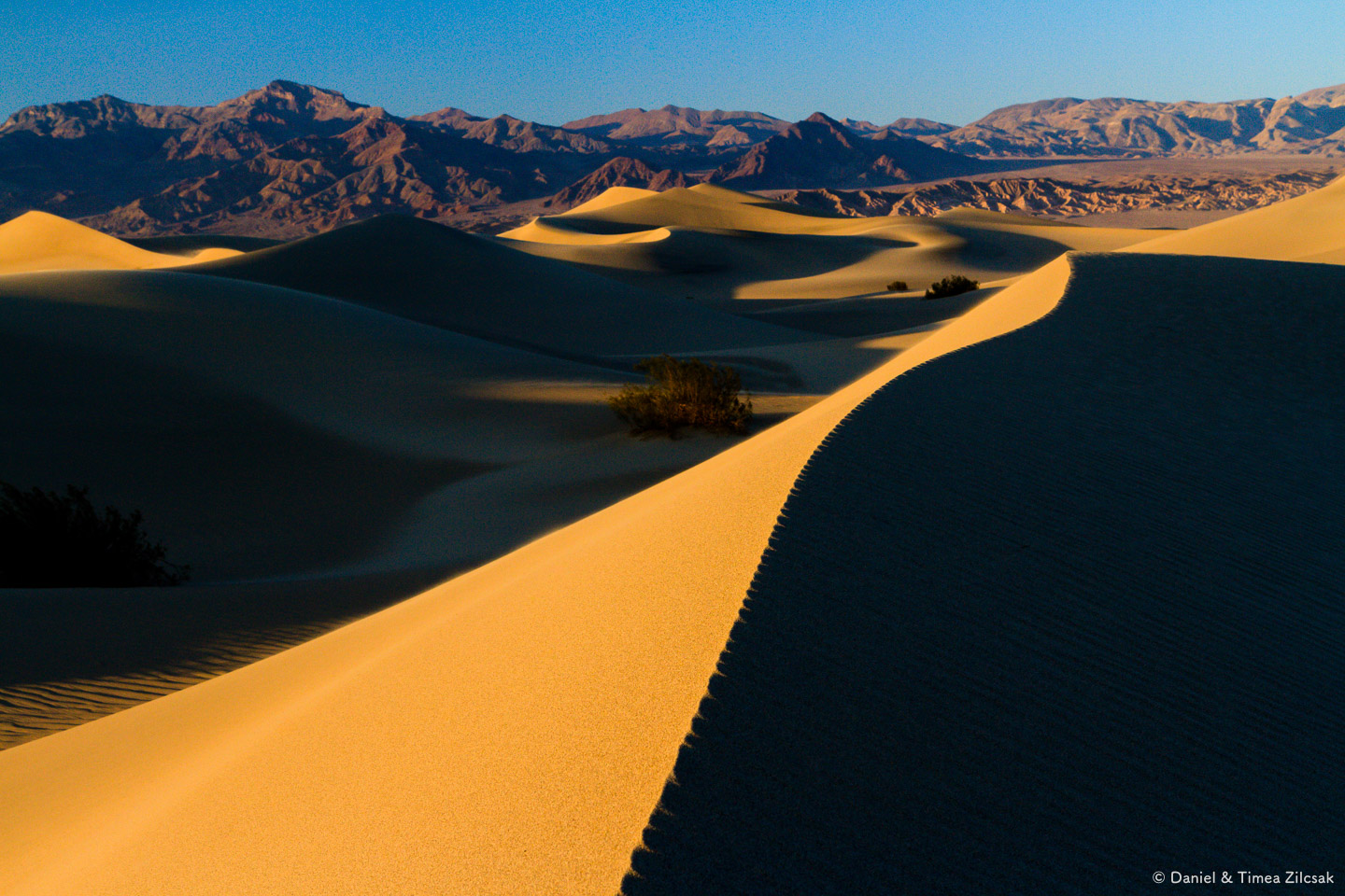 Mesquite Sand Dunes at Sunset, Death Valley National Park Top 10 Must See