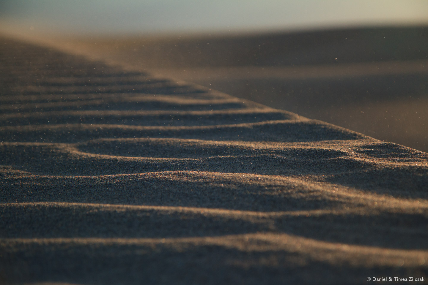 Mesquite Sand Dunes at Sunset, Death Valley National Park Top 10 Must See