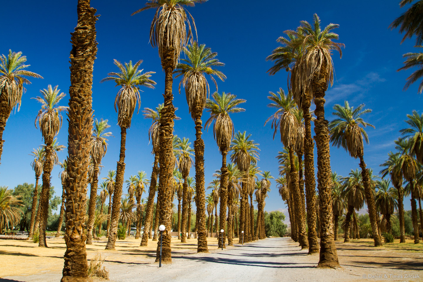 Furnace Creek Ranch, Death Valley National Park Top 10 Must See