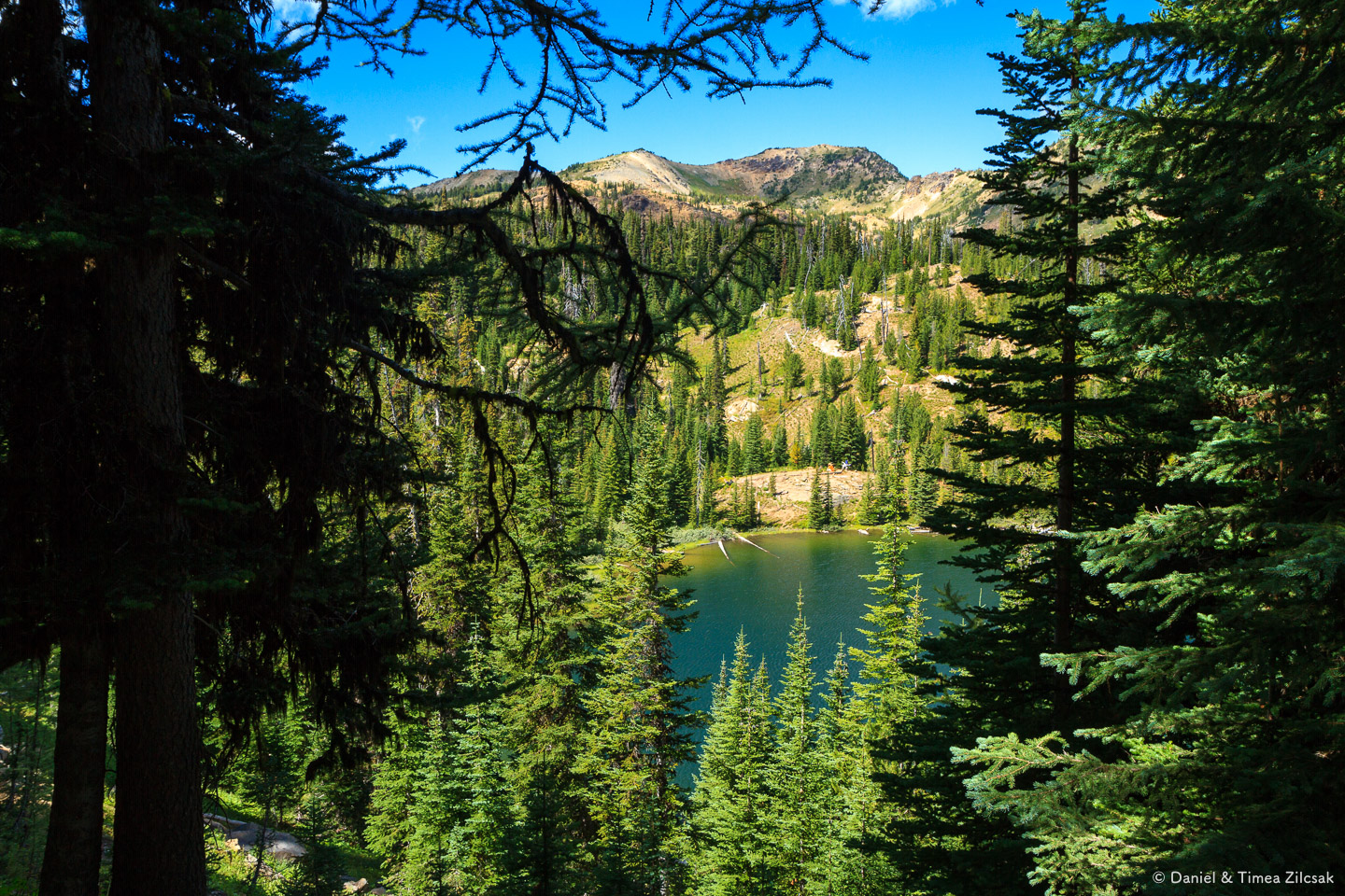 Lake Caroline and a great campsite right on the shore