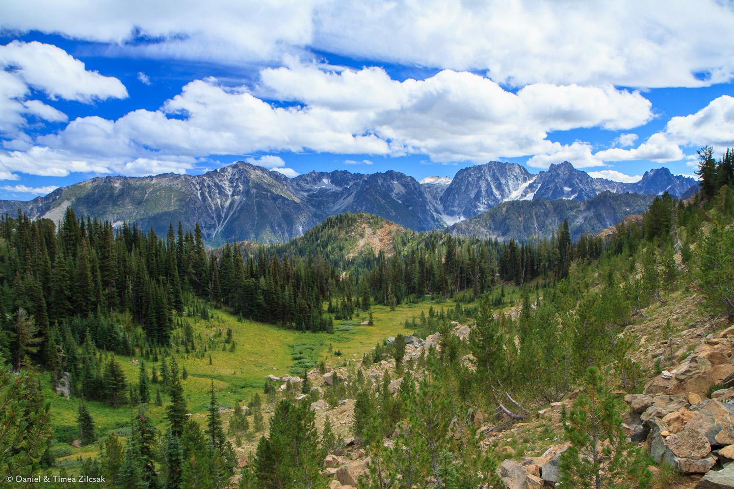 Trail to Windy Pass from Lake Caroline, entering the alpine zone