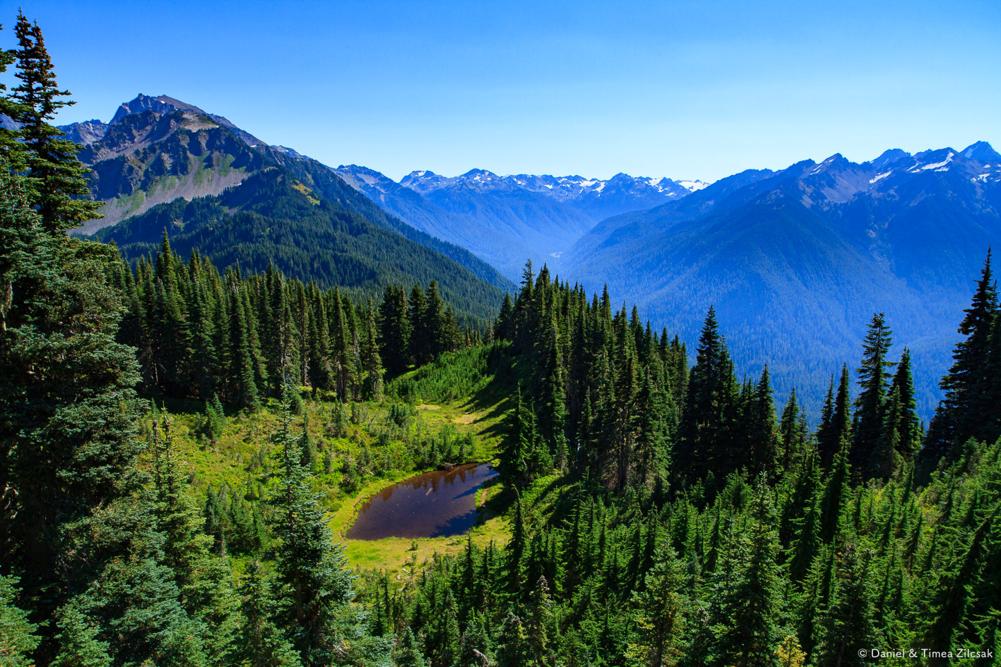 Olympic National Park Backpacking – High Divide