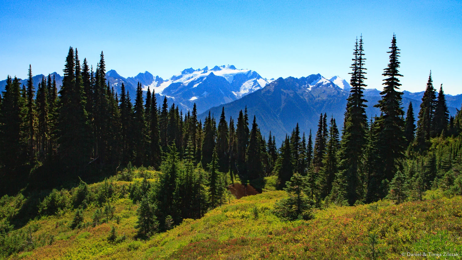 View of Mount Olympus from the High Divide Trail, Olympic National Park