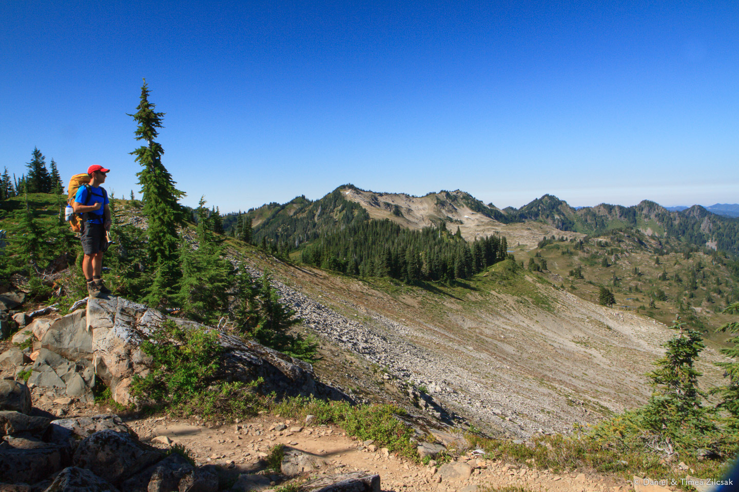 Looking west on High Divide Trail, Olympic National Park