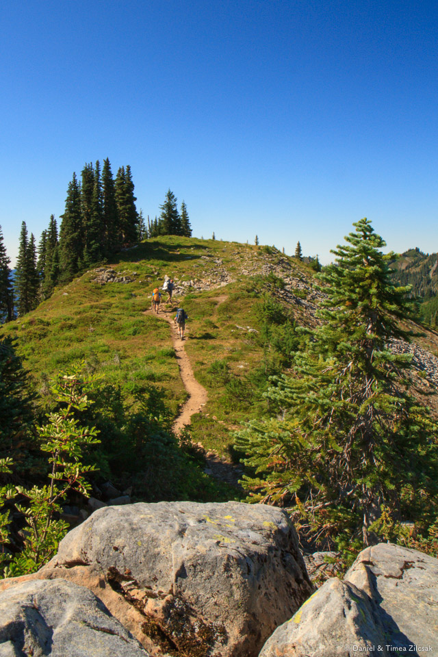 Looking west on High Divide Trail, Olympic National Park