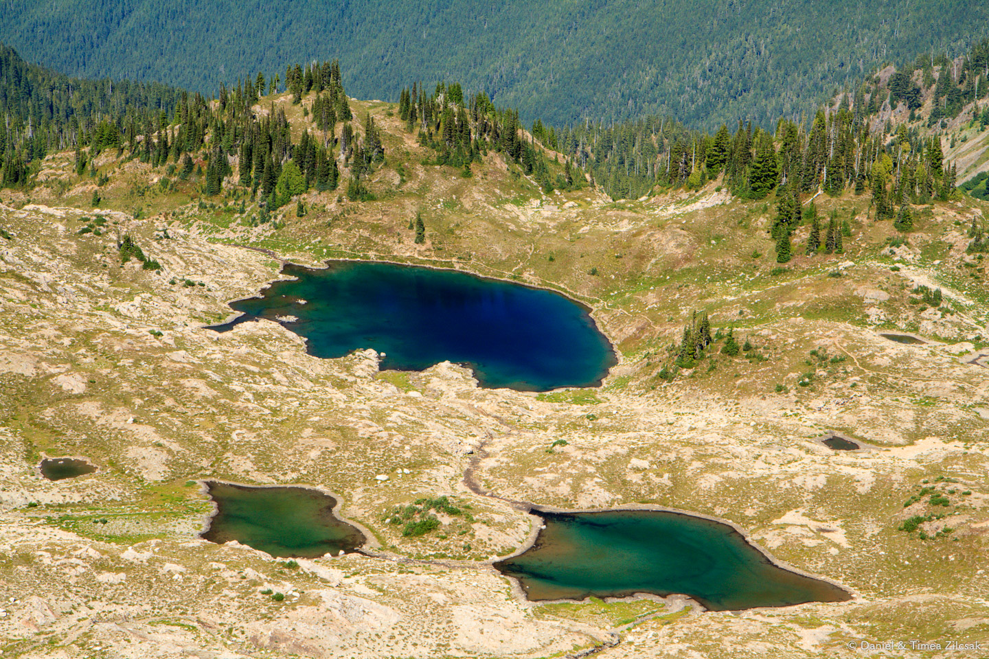 Further west looking at Seven Lakes Basin from the High Divide T