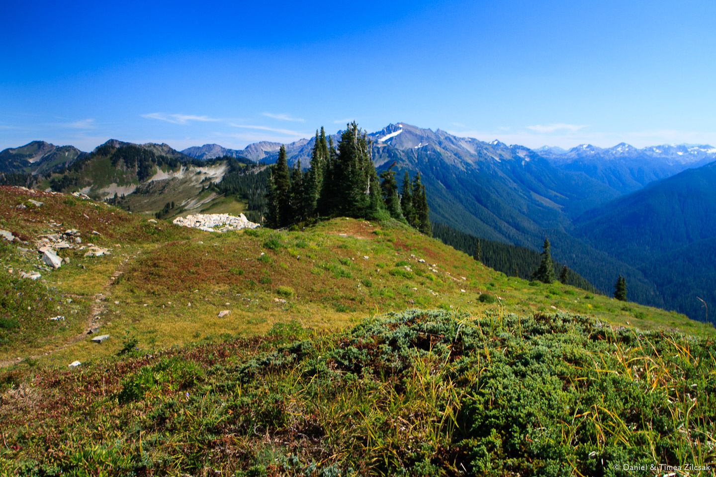 Looking east from the High Divide Trail, Olympic National Park