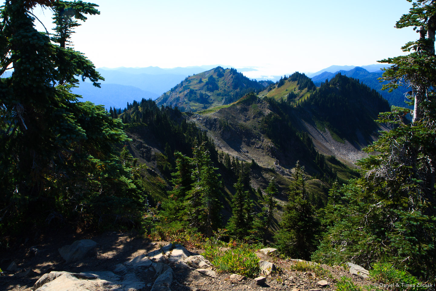 West view from Bogachiel Peak on the High Divide Trail, Olympic 