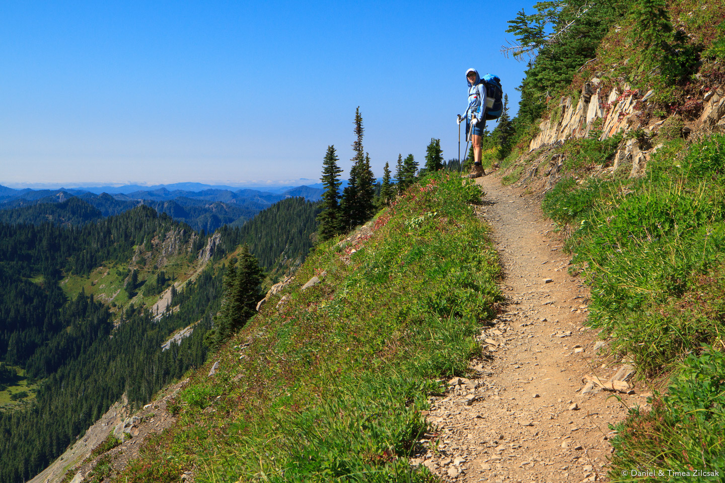 Timea on the west face of Bogachiel Peak, High Divide Trail