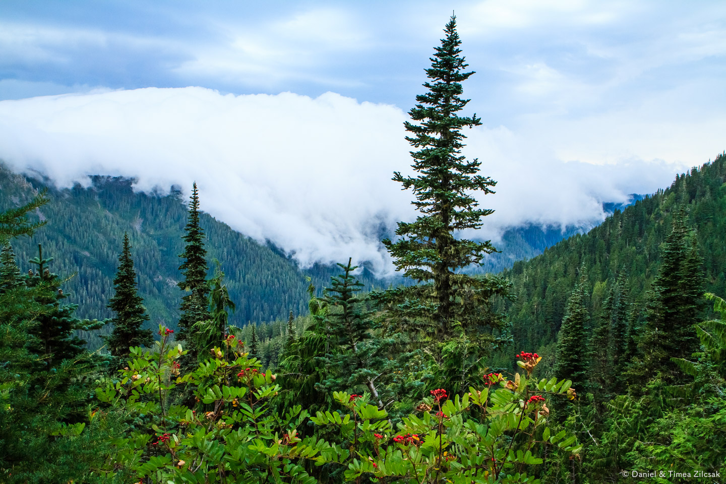 Storm chasing us across the High Divide Trail, Olympic National Park