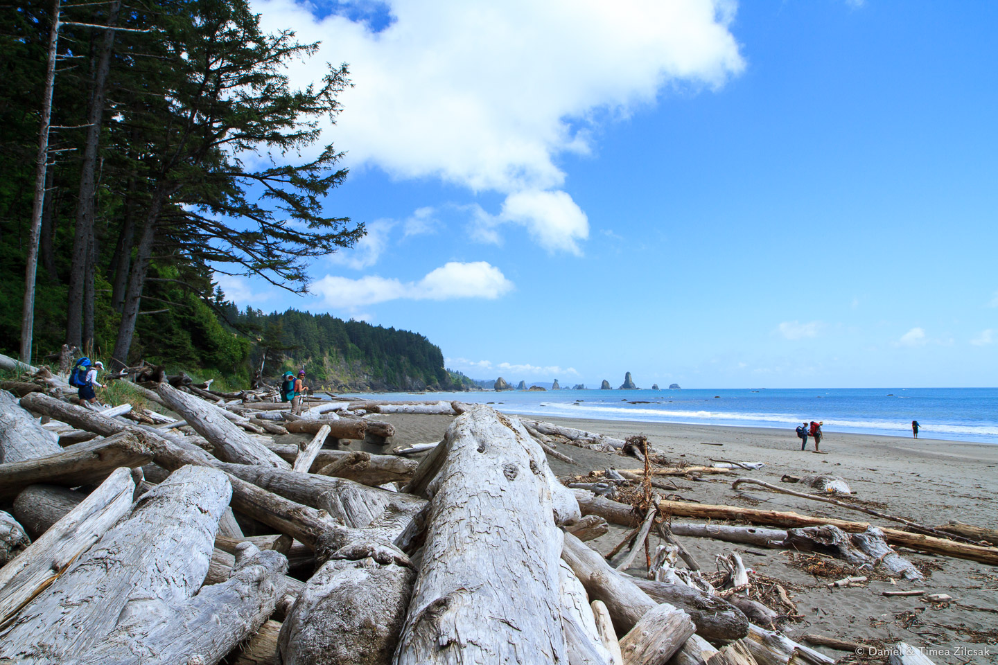 First view of the ocean at Strawberry Bay, Third Beach - Backpacking the South Coast Wilderness Trail, Olympic National Park