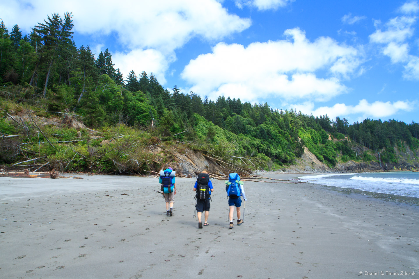 Land slide at Strawberry Bay - Backpacking the South Coast Wilderness Trail, Olympic National Park