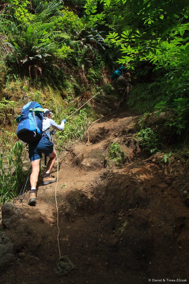 A second section of rope up from Strawberry Bay - Backpacking the South Coast Wilderness Trail, Olympic National Park