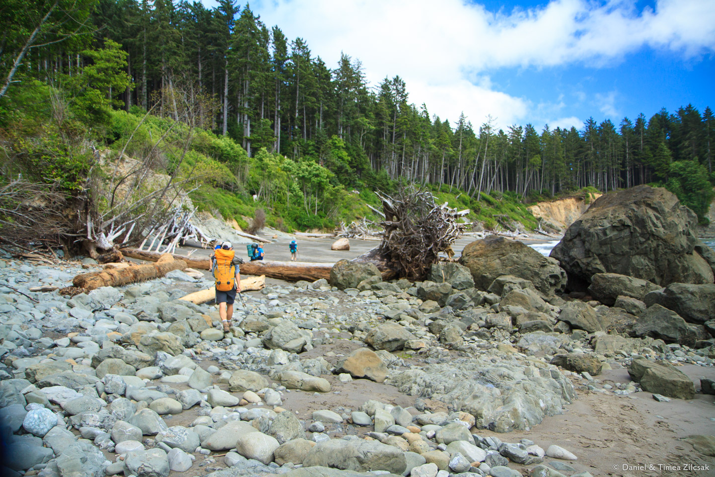 Rougher section near Giant's Graveyard on the South Coast Wilderness Trail, Olympic National Par 