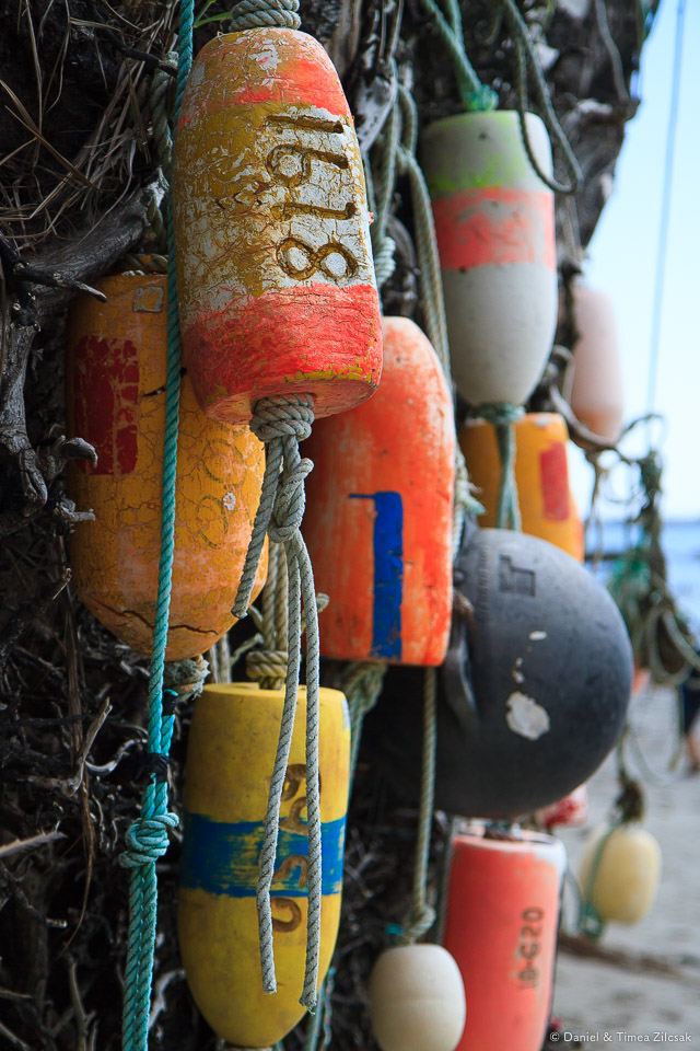 Scott Creek Camp decorated with colorful buoys on the South Coast Wilderness Trail, Olympic National Park
