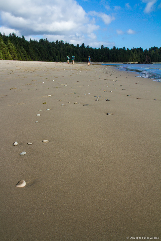 Beach backpacking is really cool, South Coast Wilderness Trail, Olympic National Park