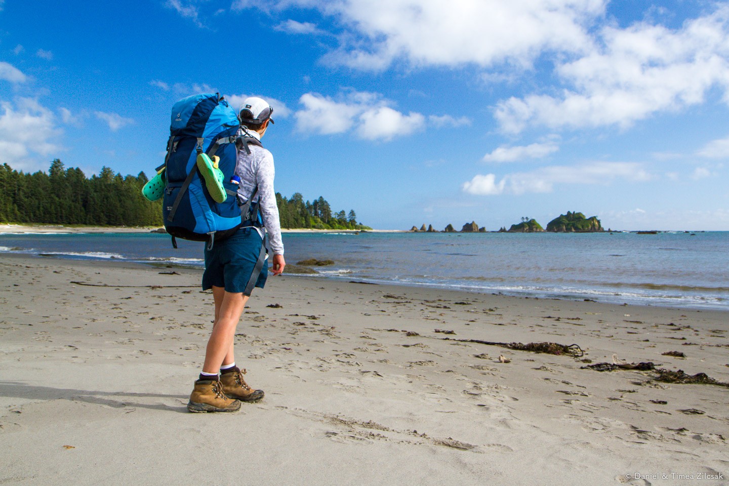 Looking towards Toleak Point on the South Coast Wilderness Trail