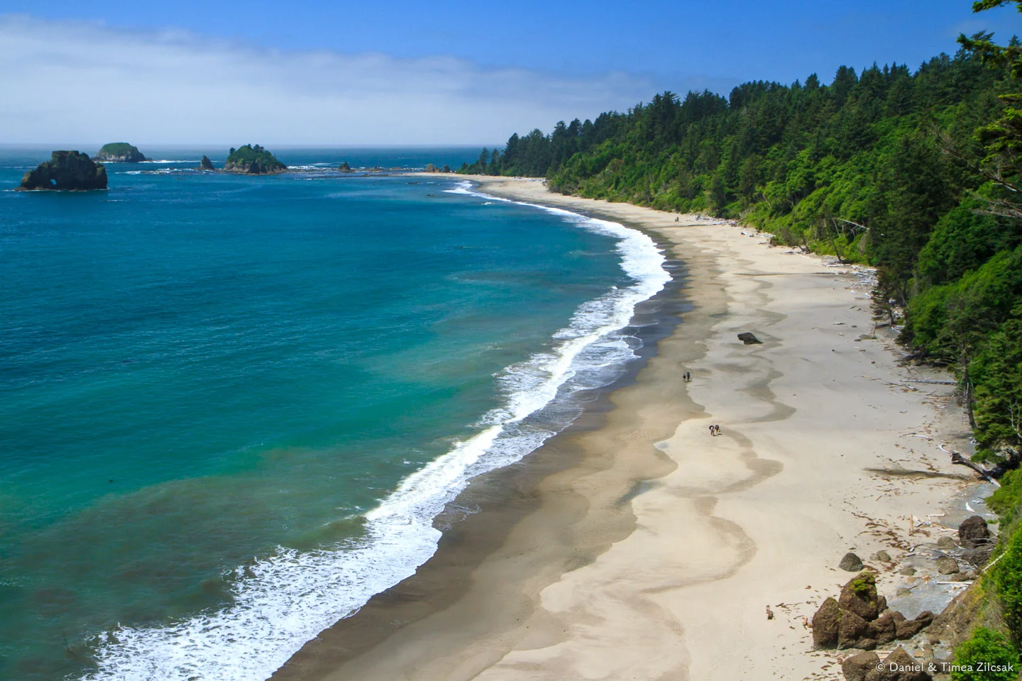 Looking back towards Toleak Point on the South Coast Wilderness Trail, Olympic National Park