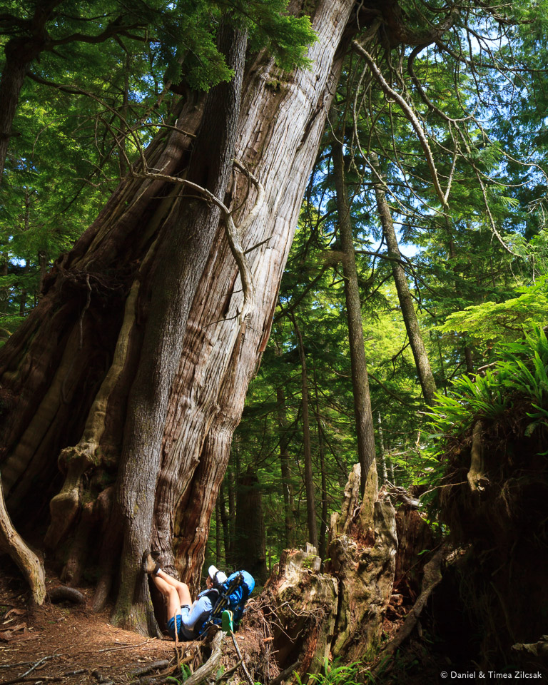 South Coast Wilderness Trail south of Toleak Point, Olympic National Park