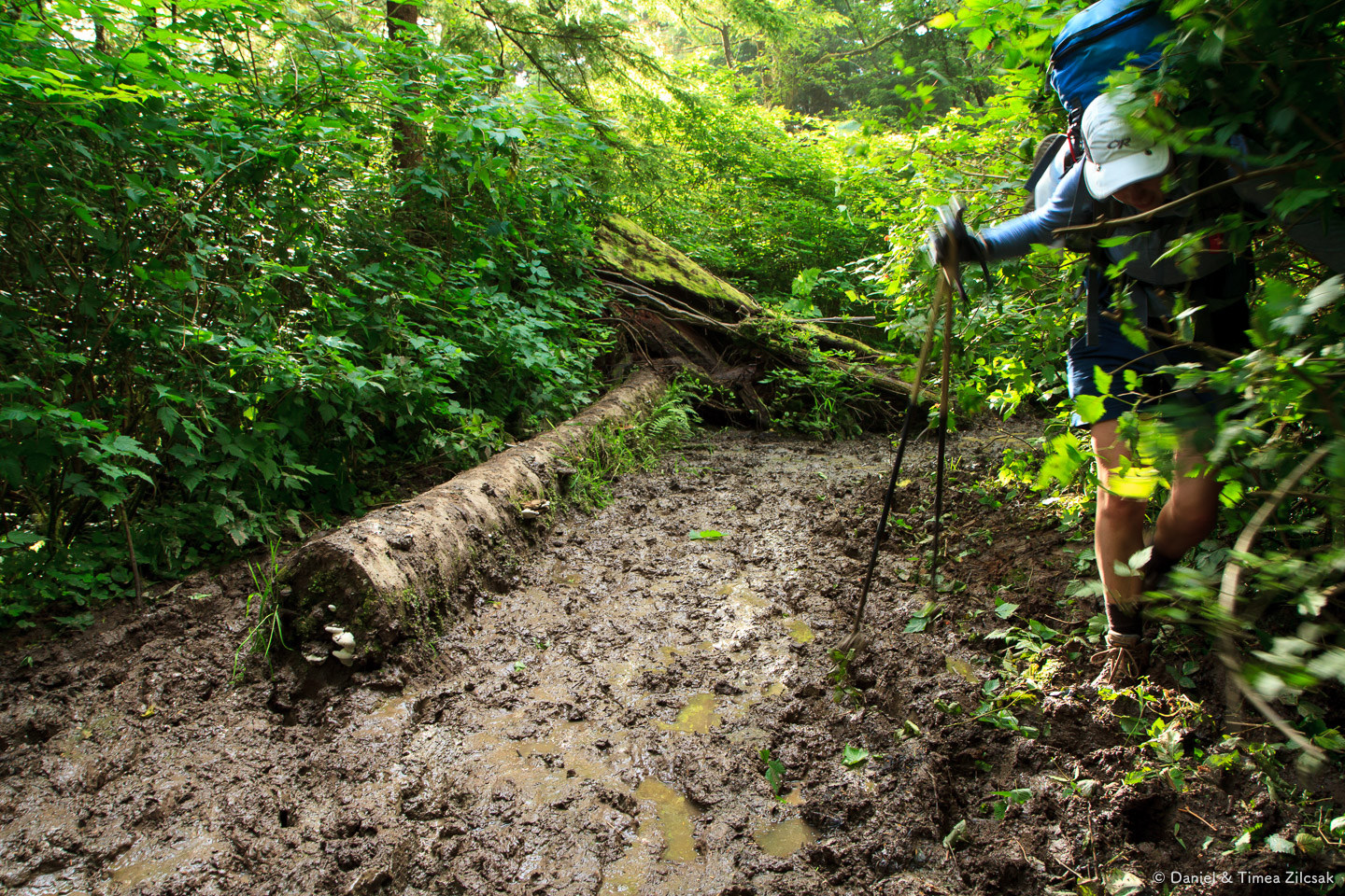 Mud so deep that it could almost suck your boot out, South Coast Wilderness Trail