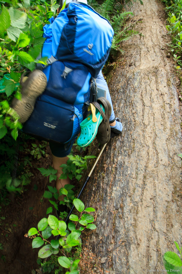 Hiking thought a muddy area between Jefferson Cove and Mosquito
