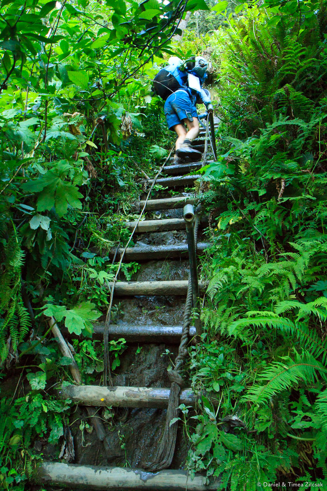 Ladder descending into Jefferson Cove, South Coast Wilderness Trail
