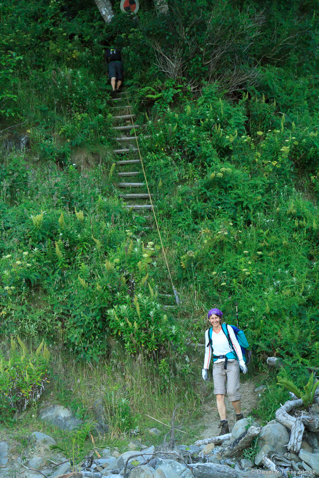 Ladder descending into Jefferson Cove, South Coast Wilderness Trail