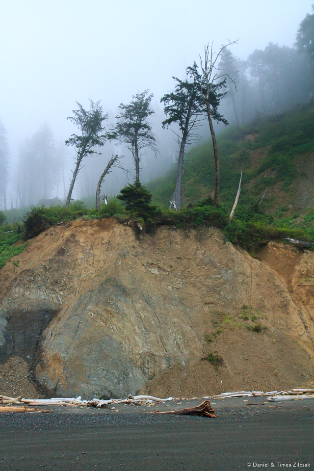 Shoreline at Jefferson Cove on the South Coast Wilderness Trail, Olympic National Park