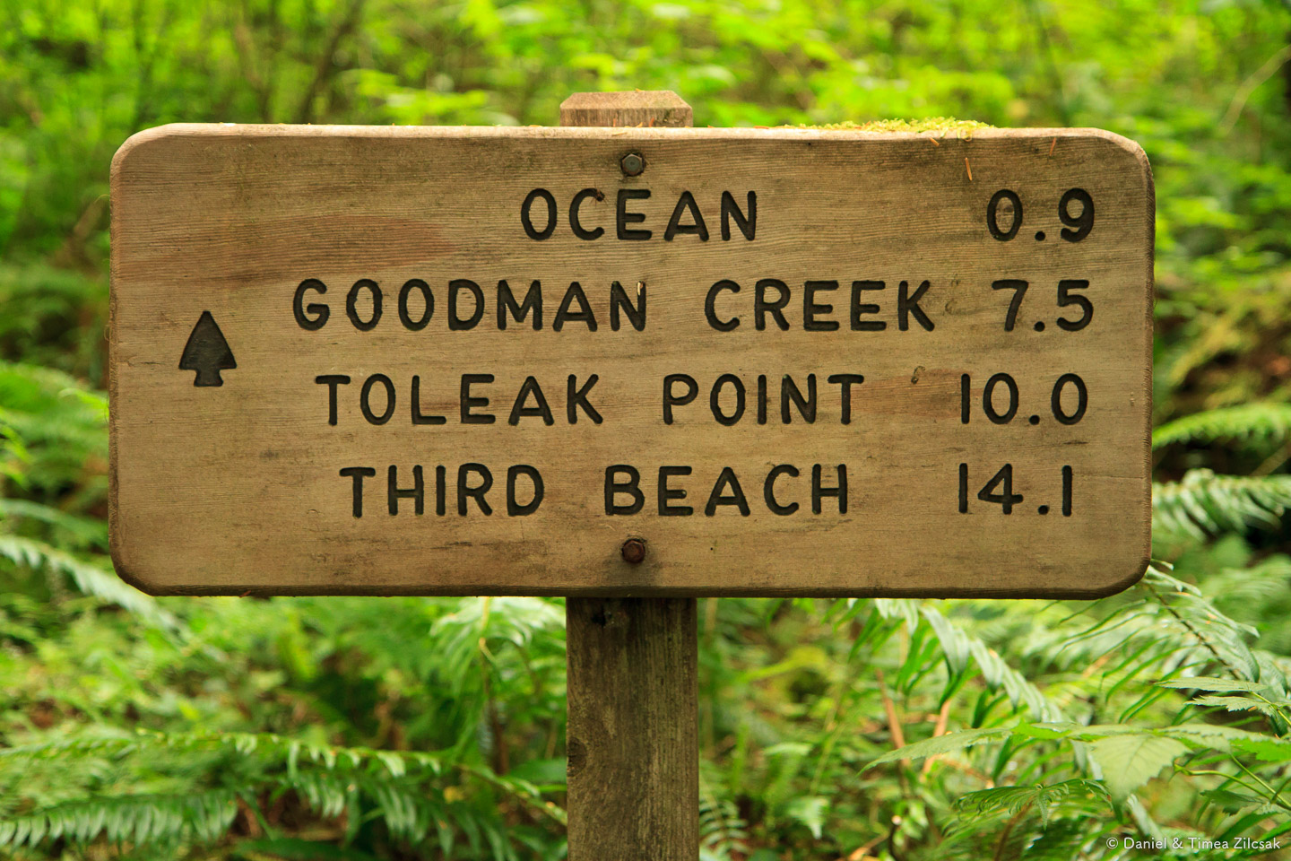 South Coast Wilderness Trail sign - Oil City to Toleak Point to Third Beach (in reverse)