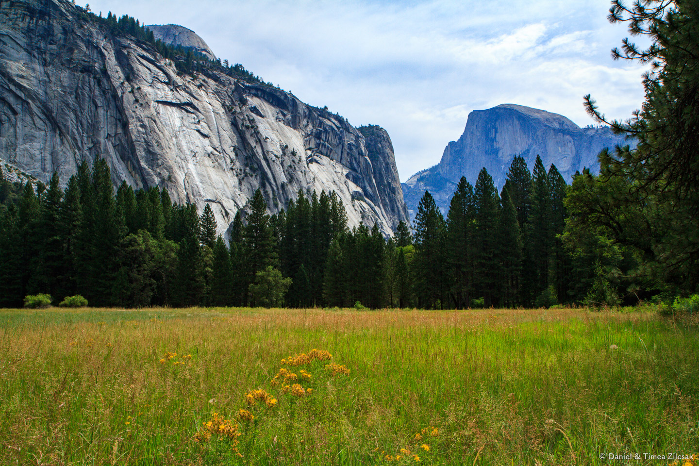 Half Dome view from Yosemite Valley 