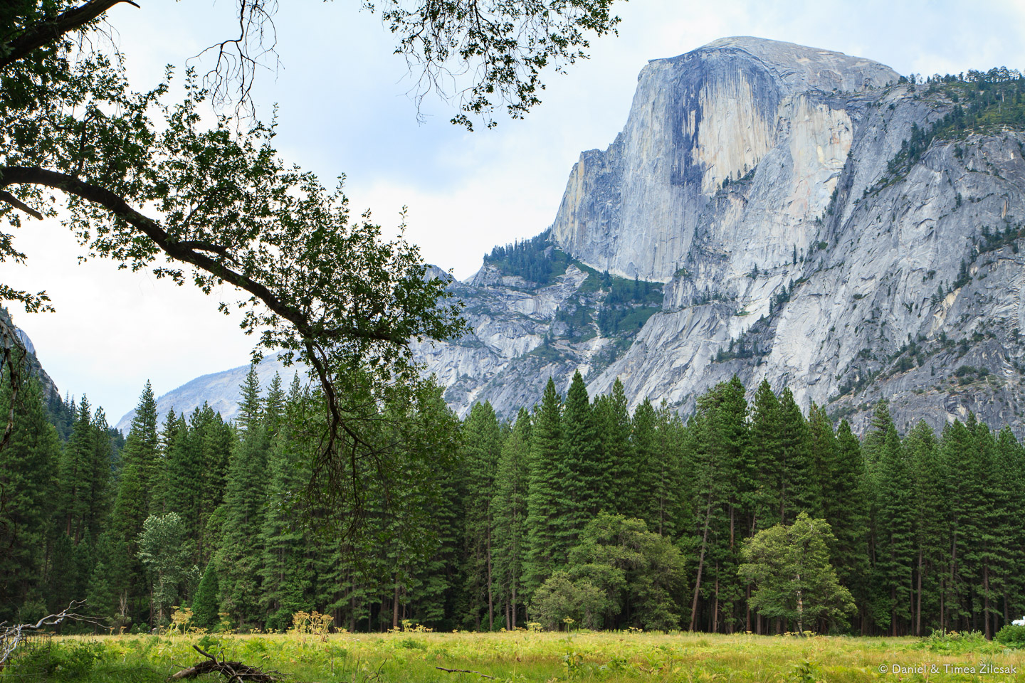 Half Dome view from Yosemite Valley