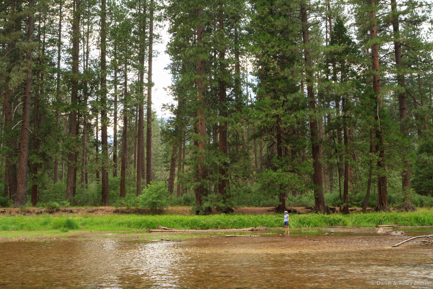 Down by the river in Yosemite Valley