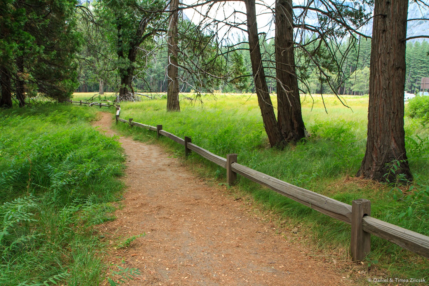 A walk in Yosemite Valley