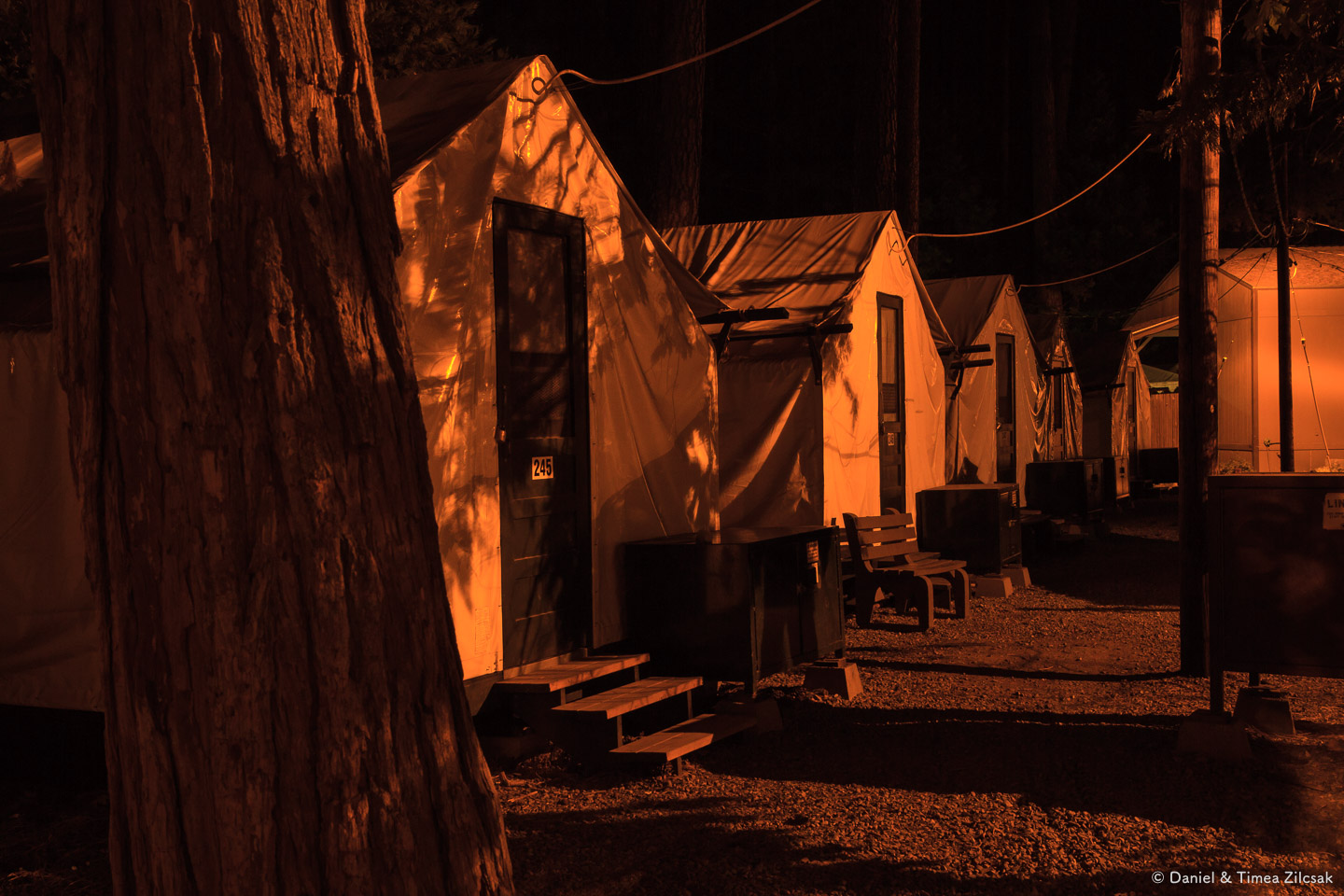 Tent cabins at Curry Village, Yosemite Valley