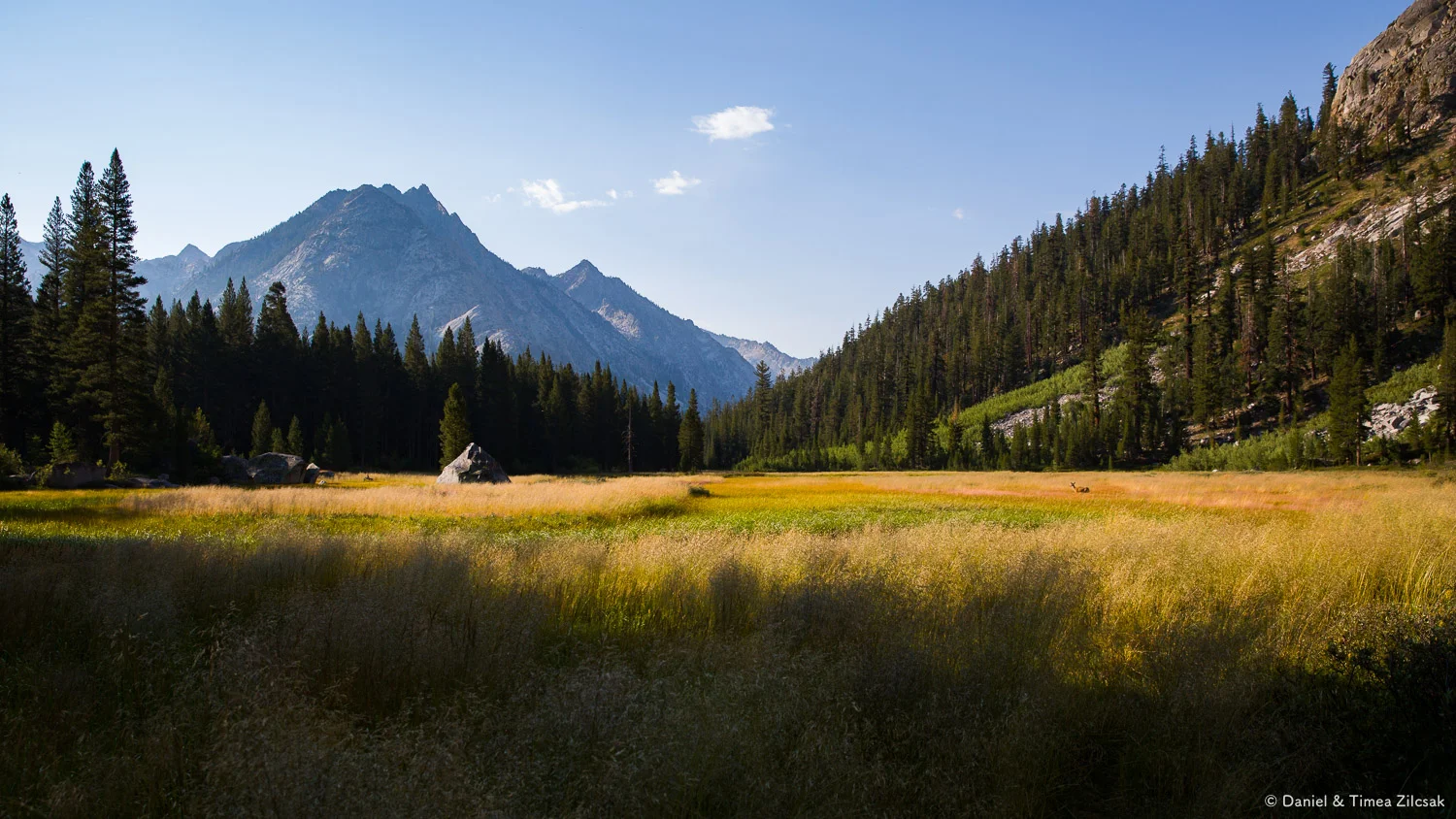 Grouse Meadows, John Muir Trail